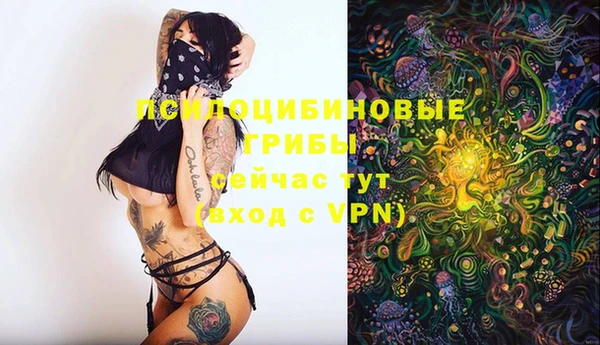стафф Баксан